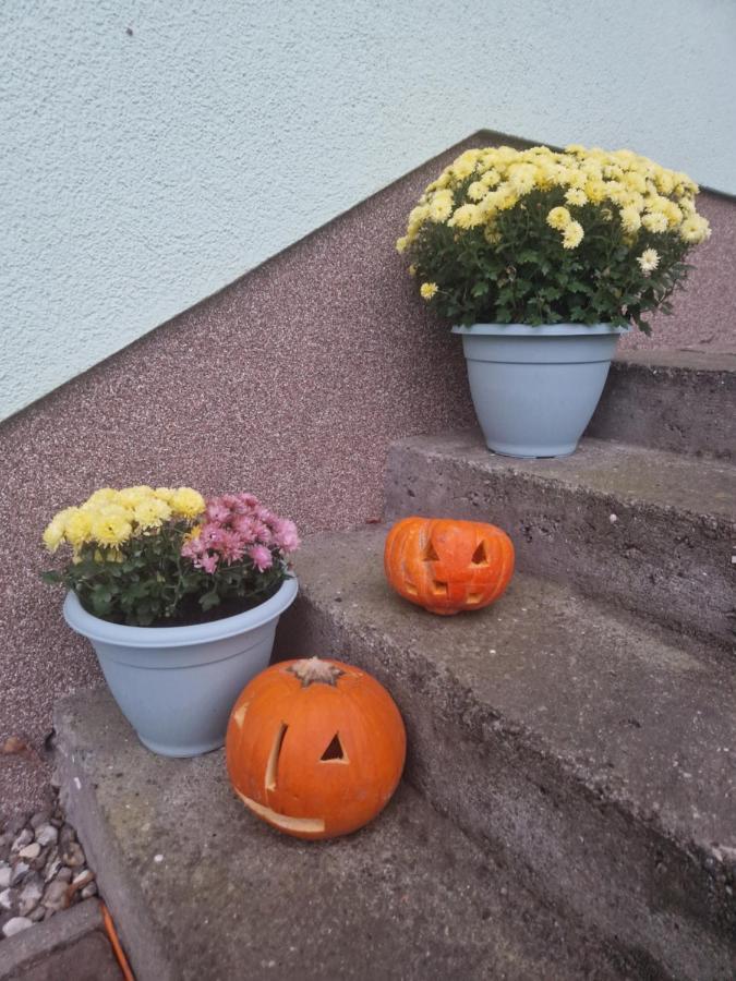 Ferienwohnung Am Gruenen Haus Garz  Exterior foto